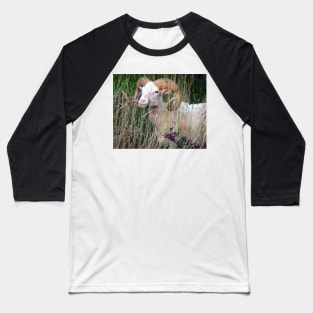 Animal Farm Life Art Photography Goat Ram in Field Meadow Country Animals Baseball T-Shirt